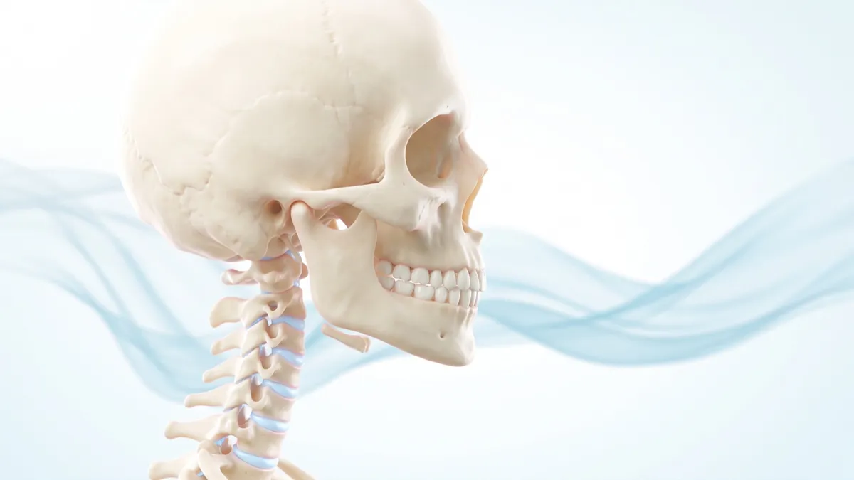 Render anatómico 3D de la columna cervical alta y la base del cráneo en tonos marfil, sobre fondo blanco con formas fluidas en azul pálido