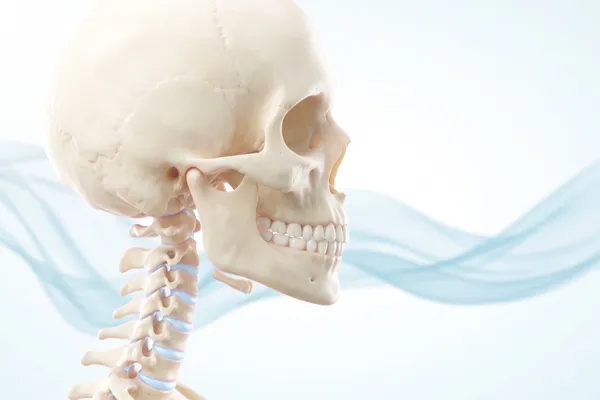 Render anatómico 3D de la columna cervical alta y la base del cráneo en tonos marfil, sobre fondo blanco con formas fluidas en azul pálido