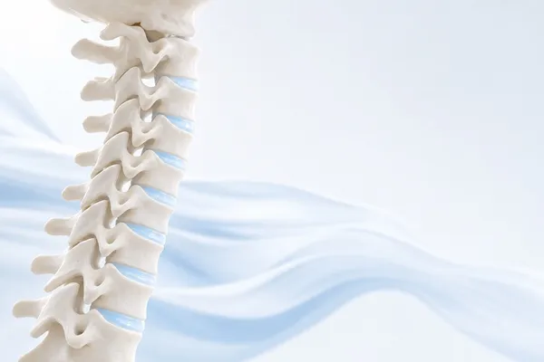 Render anatómico 3D de la columna cervical en tonos marfil con los discos intervertebrales destacados en azul pálido, sobre fondo blanco con formas fluidas